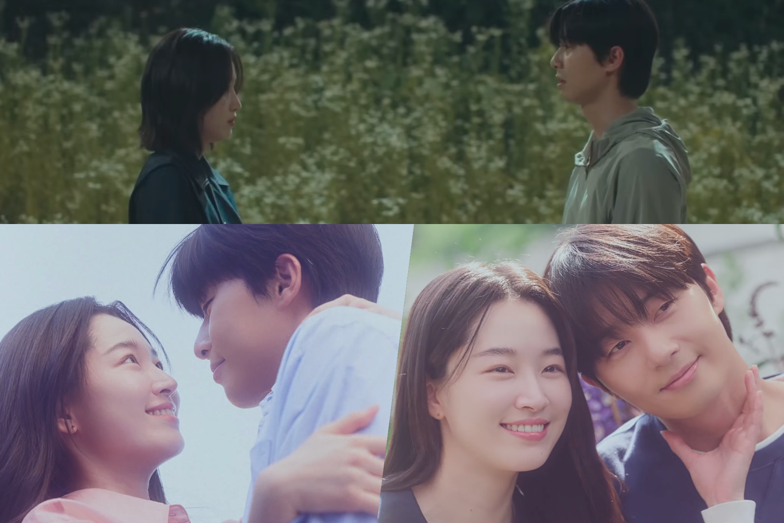 Sinopse do Surely Tomorrow